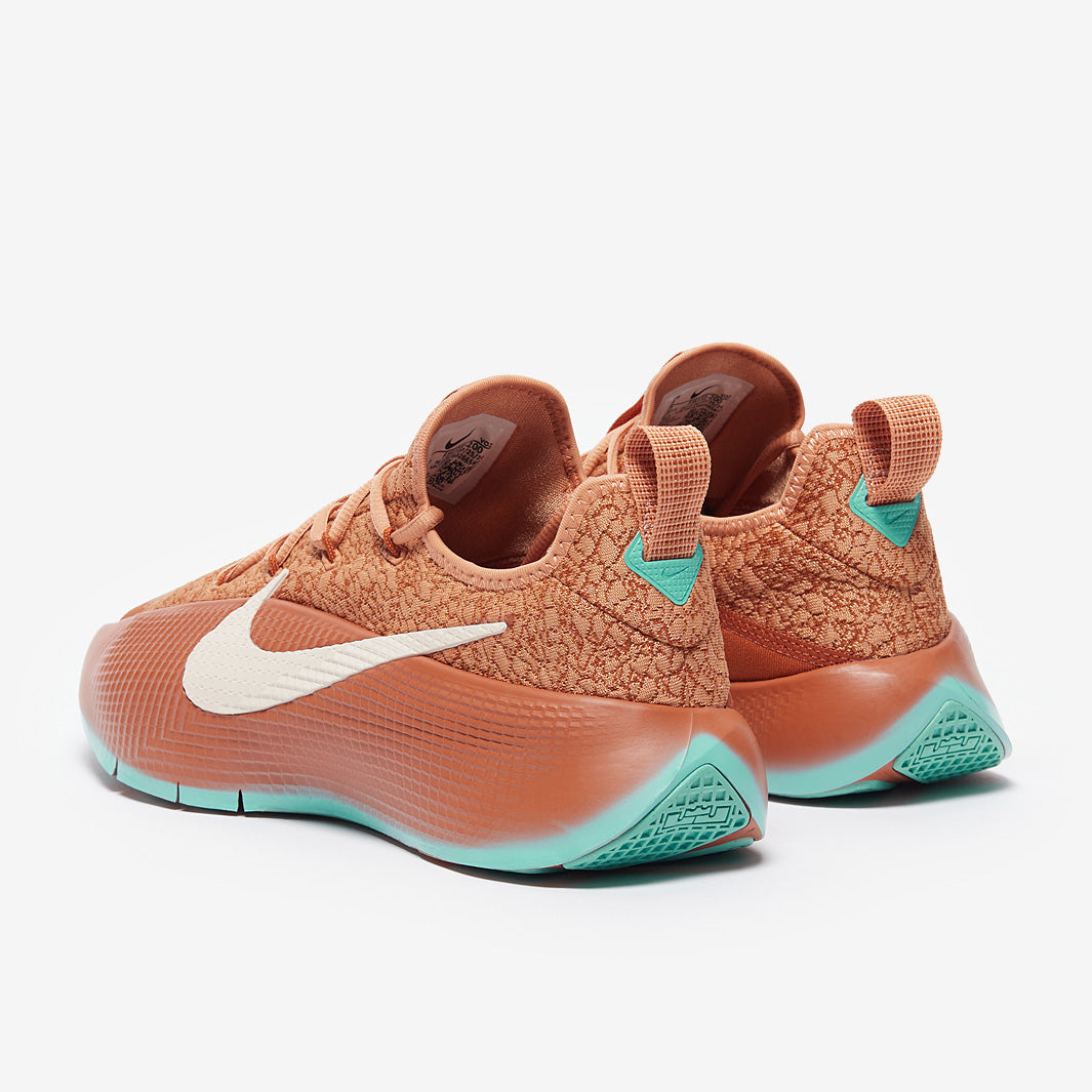 Nike LeBron TR 1