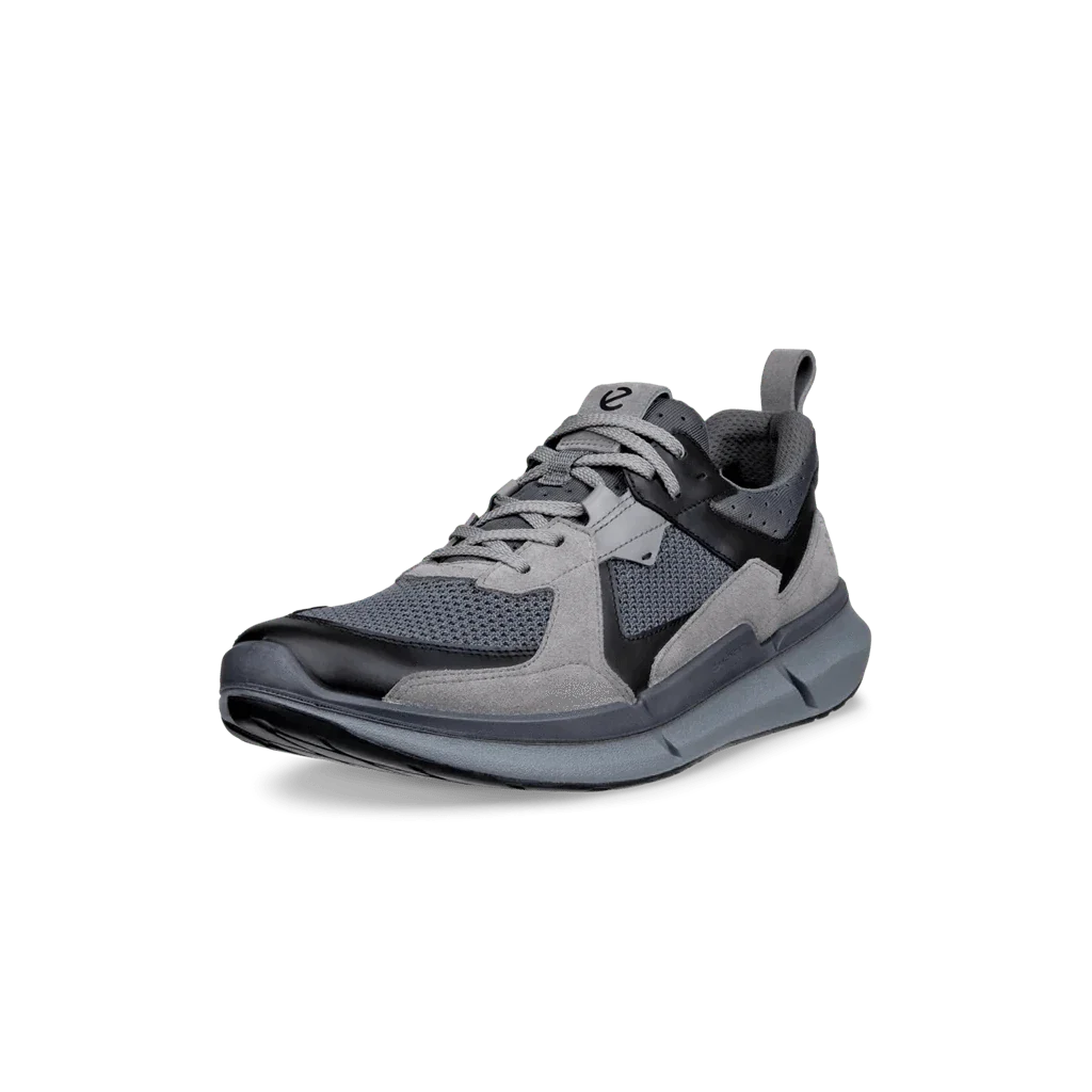 Ecco Biom 2.2 Leather Men